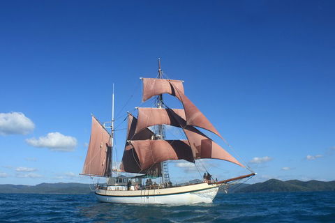 Sydney Harbour Tall Ship Whale & Sail - Whale Watching Cruise - Kawana Tourism 1
