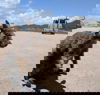 Magnetic Island Tour Maggie Comprehensive