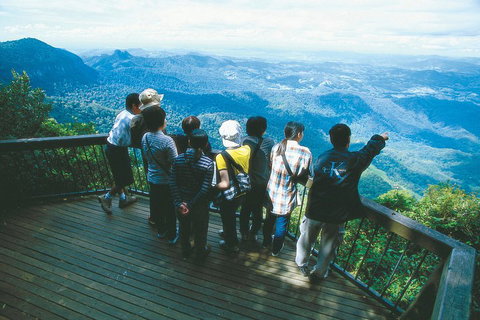 Springbrook National Park & Gold Coast Full Day Luxury Tour From Brisbane - Kawana Tourism 0