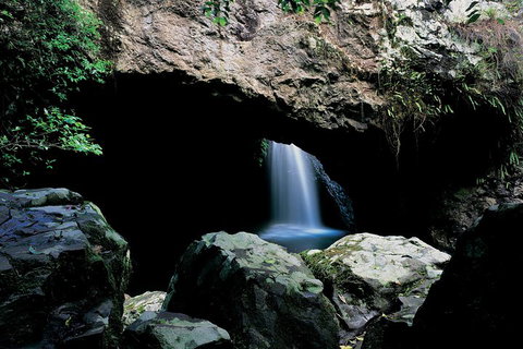 Springbrook National Park & Gold Coast Full Day Luxury Tour From Brisbane - Kawana Tourism 2