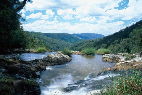 Springbrook National Park & Gold Coast Full Day Luxury Tour From Brisbane - Kawana Tourism 3