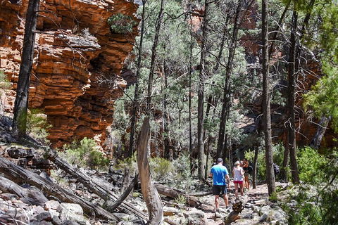 6-Day Eyre Peninsula & Flinders Ranges Adventure Tour - Kawana Tourism 5
