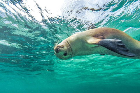 10-Day Adelaide To Perth Adventure Tour - Kawana Tourism 1