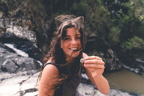 Springbrook AndTamborine Rainforest Tour Incl Natural Bridge And Glow Worm Cave - Kawana Tourism 1
