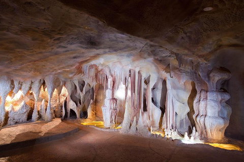 Springbrook AndTamborine Rainforest Tour Incl Natural Bridge And Glow Worm Cave - Kawana Tourism 4