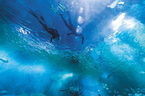 Snorkel With Sharks At AQWA - Kawana Tourism 1