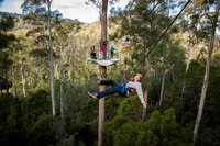 Hollybank Wilderness Adventure - Zipline Tours, Launceston