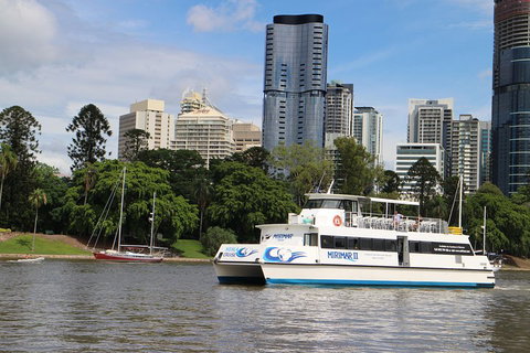 Lone Pine Koala Sanctuary Admission With Brisbane River Cruise - Kawana Tourism 2