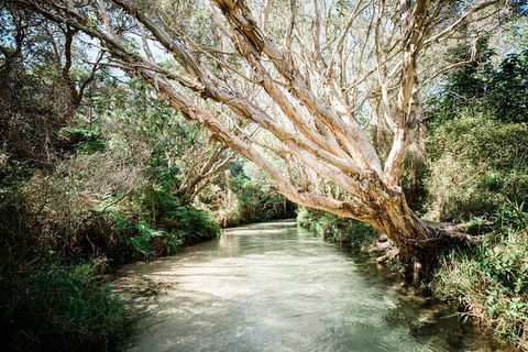 3-Day Fraser Island Resort Package - Kawana Tourism 5