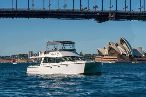Vivid 90-Minute Sydney Harbour Small Group Catamaran Cruise - Kawana Tourism 2