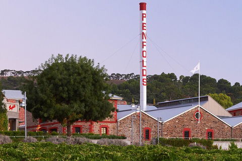 Ultimate Penfolds Magill Estate Experience - Kawana Tourism 3