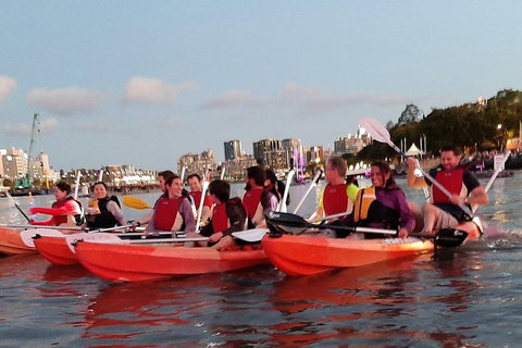 Brisbane River Guided Evening Tour By Kayak - Our Most Popular Tour - Kawana Tourism 0