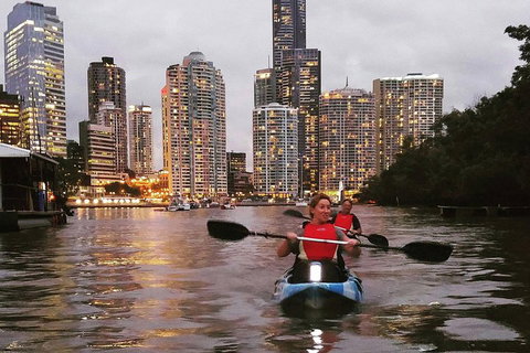 Brisbane River Guided Evening Tour By Kayak - Our Most Popular Tour - Kawana Tourism 3