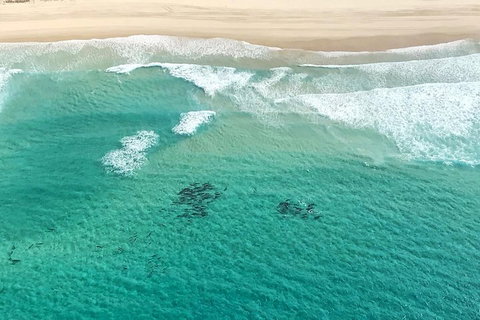 Coastal Helicopter Shared Flight - 20 Minutes - Kawana Tourism 4