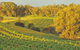 Swan Valley Private Tour - thumb 2