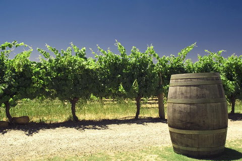 Swan Valley Private Tour - Kawana Tourism 4
